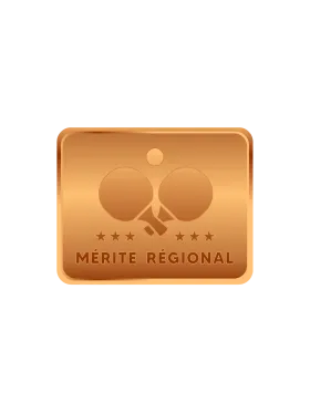Mérite régional bronze